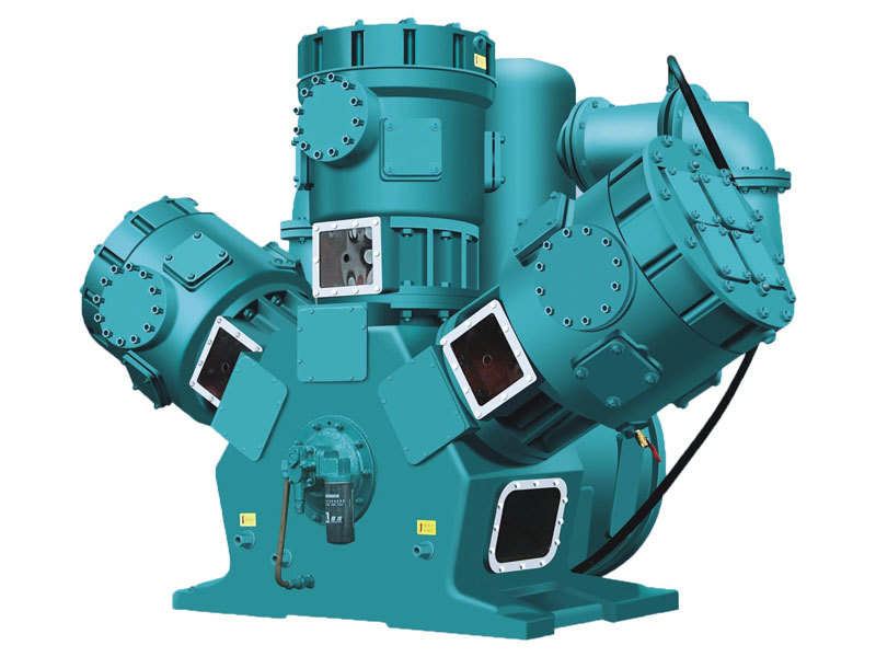 Non-lubricating vinyl chloride compressor